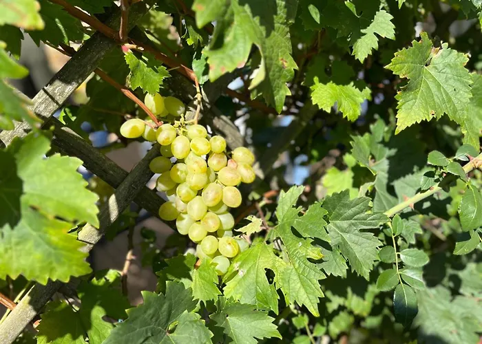 Halte Vendeenne Atypique * Saint-Germain-l'Aiguiller